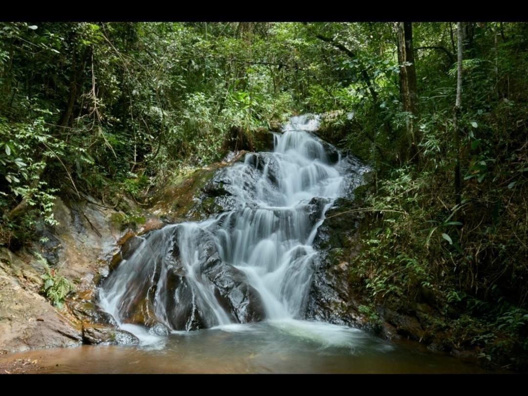 Pousada Verde Folhas Casa Branca Exteriér fotografie